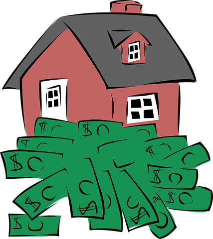 dollars-31085__480.png